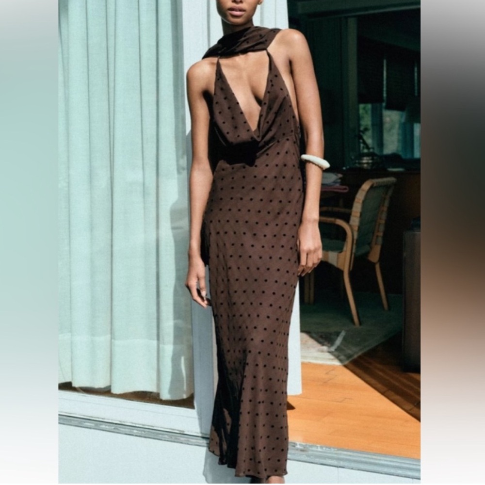 Zara Polka Dot Backless Scarf Dress